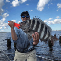 Hudson Fishing Spots - Hernando Nearshore